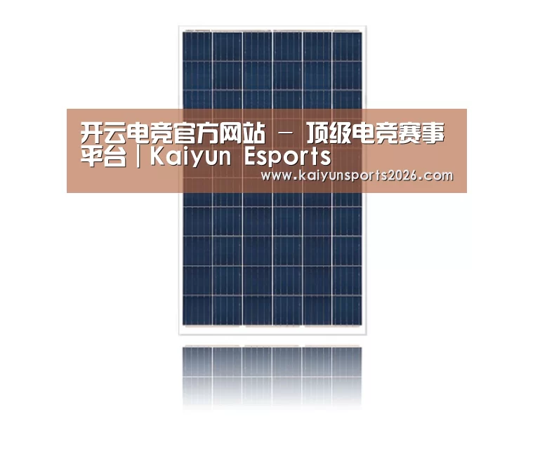产品名称一