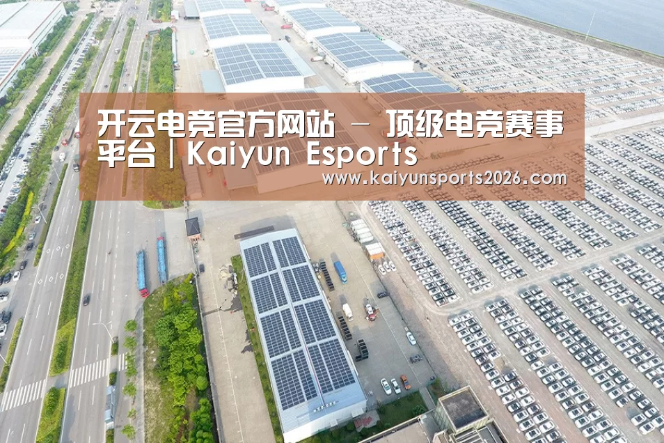 案例展示四
