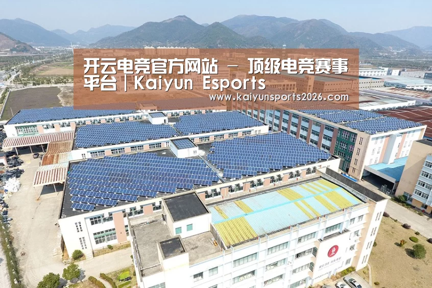 案例展示三