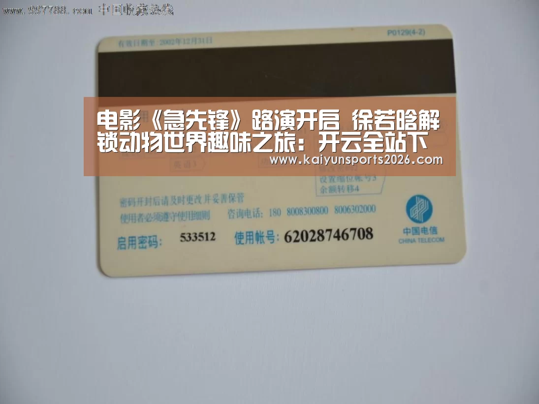 开云体育下载