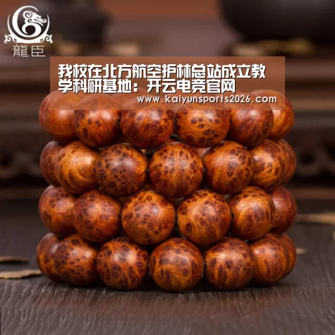 开云电竞官网